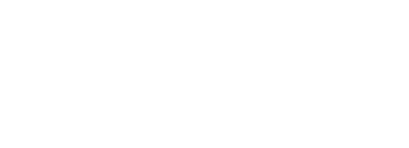 Sviss Logo Weiß